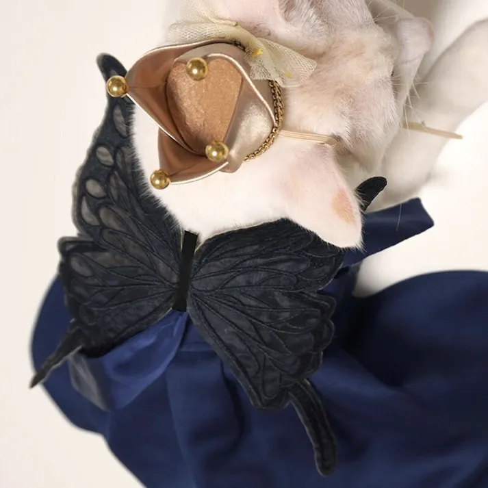 ONEKOSAMA OINUSAMA ちょうちょの羽 ペットアクセサリー/ブラック おしゃれ アクセサリー ons0114-bk【別送品】