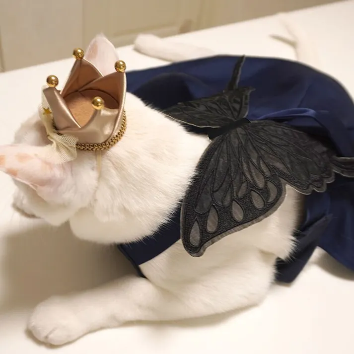 ONEKOSAMA OINUSAMA ちょうちょの羽 ペットアクセサリー/ブラック おしゃれ アクセサリー ons0114-bk【別送品】