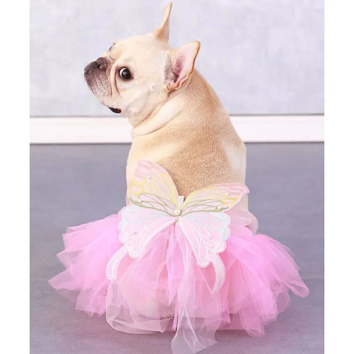 ONEKOSAMA OINUSAMA ちょうちょの羽 ペットアクセサリー/レインボー おしゃれ アクセサリー ons0114-rainbow【別送品】