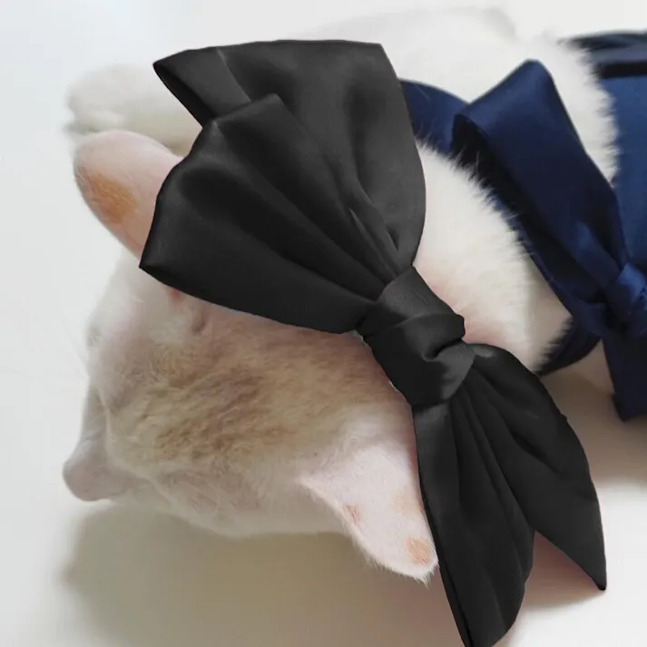 ONEKOSAMA OINUSAMA リボン ペットアクセサリー/ブラック おしゃれ アクセサリー ons0115-bk【別送品】