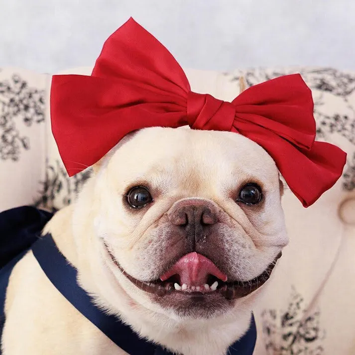 ONEKOSAMA OINUSAMA リボン ペットアクセサリー/レッド おしゃれ アクセサリー ons0115-red【別送品】