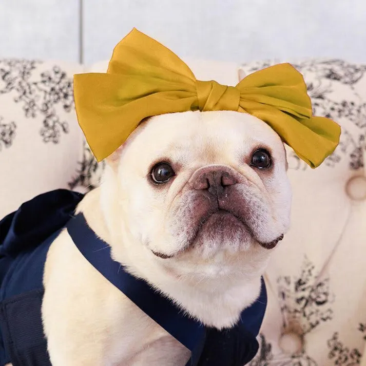 ONEKOSAMA OINUSAMA リボン ペットアクセサリー/イエロー おしゃれ アクセサリー ons0115-ye【別送品】