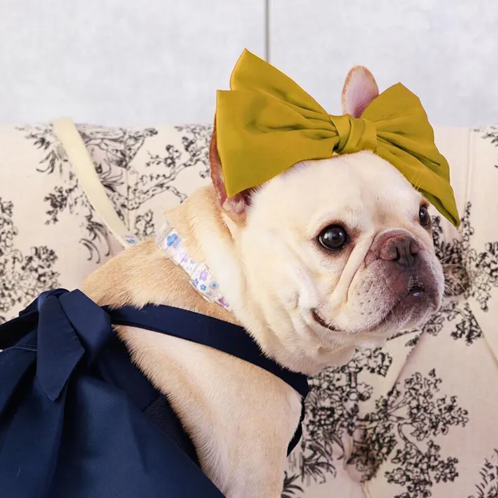 ONEKOSAMA OINUSAMA リボン ペットアクセサリー/イエロー おしゃれ アクセサリー ons0115-ye【別送品】