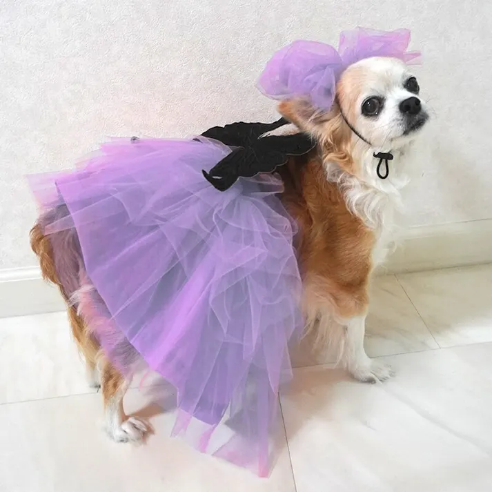 ONEKOSAMA OINUSAMA チュチュスカート/ラベンダー/4L-5L 中型犬 洗える ons0116-lv-4L-5L【別送品】