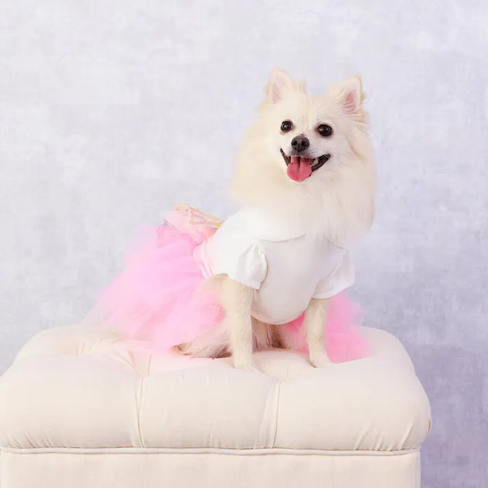 ONEKOSAMA OINUSAMA チュチュスカート/ピンク/M-L 小型犬 洗える ons0116-pk-M-L【別送品】