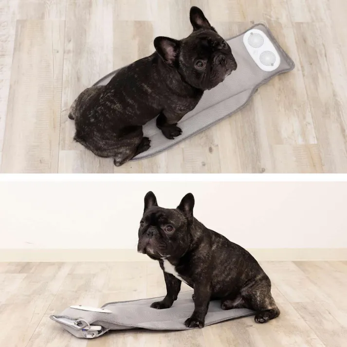 ONEKOSAMA OINUSAMA 空調クールマット 日本製大型保冷ジェル4個付き(ベーシックタイプ) ひんやり 快適 ドライブ ons0121-gelset【別送品】