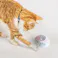 ONEKOSAMA OINUSAMA ペット用おもちゃ ハンドバッグ型 ブルー 音鳴り 運動不足解消 かわいい ons0061-bl【別送品】