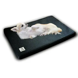 ONEKOSAMA OINUSAMA メッシュベッド エアリーウォッシュ ブラック クッション性 清潔 介護 ons0088-bk【別送品】