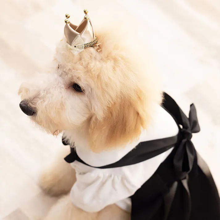 ONEKOSAMA OINUSAMA ペットクラウン 王冠アクセサリー ゴム紐タイプ ピンク おしゃれ アクセサリー ons0117b-pk【別送品】