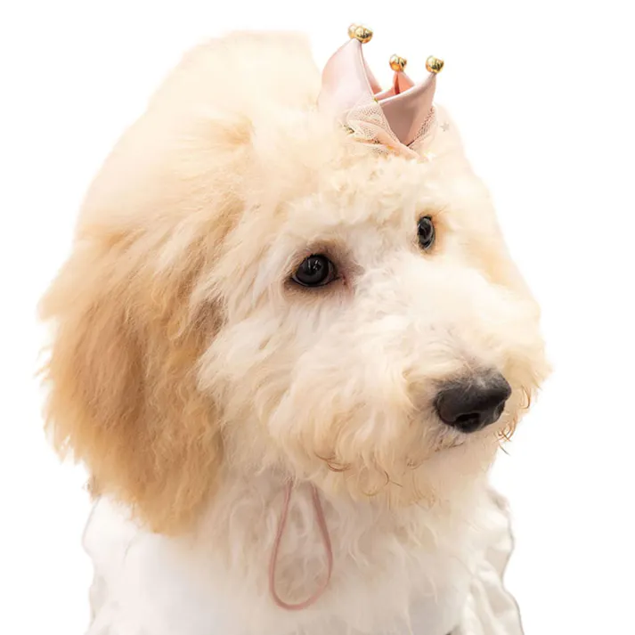 ONEKOSAMA OINUSAMA ペットクラウン 王冠アクセサリー クリップタイプ ピンク おしゃれ アクセサリー ons0117-pk【別送品】