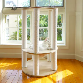 ONEKOSAMA OINUSAMA 宇宙船付き 木製 2段 キャットタワー MAISON/コットン縄ポール コンパクト 組合わせ自在 ons0123as-c【別送品】