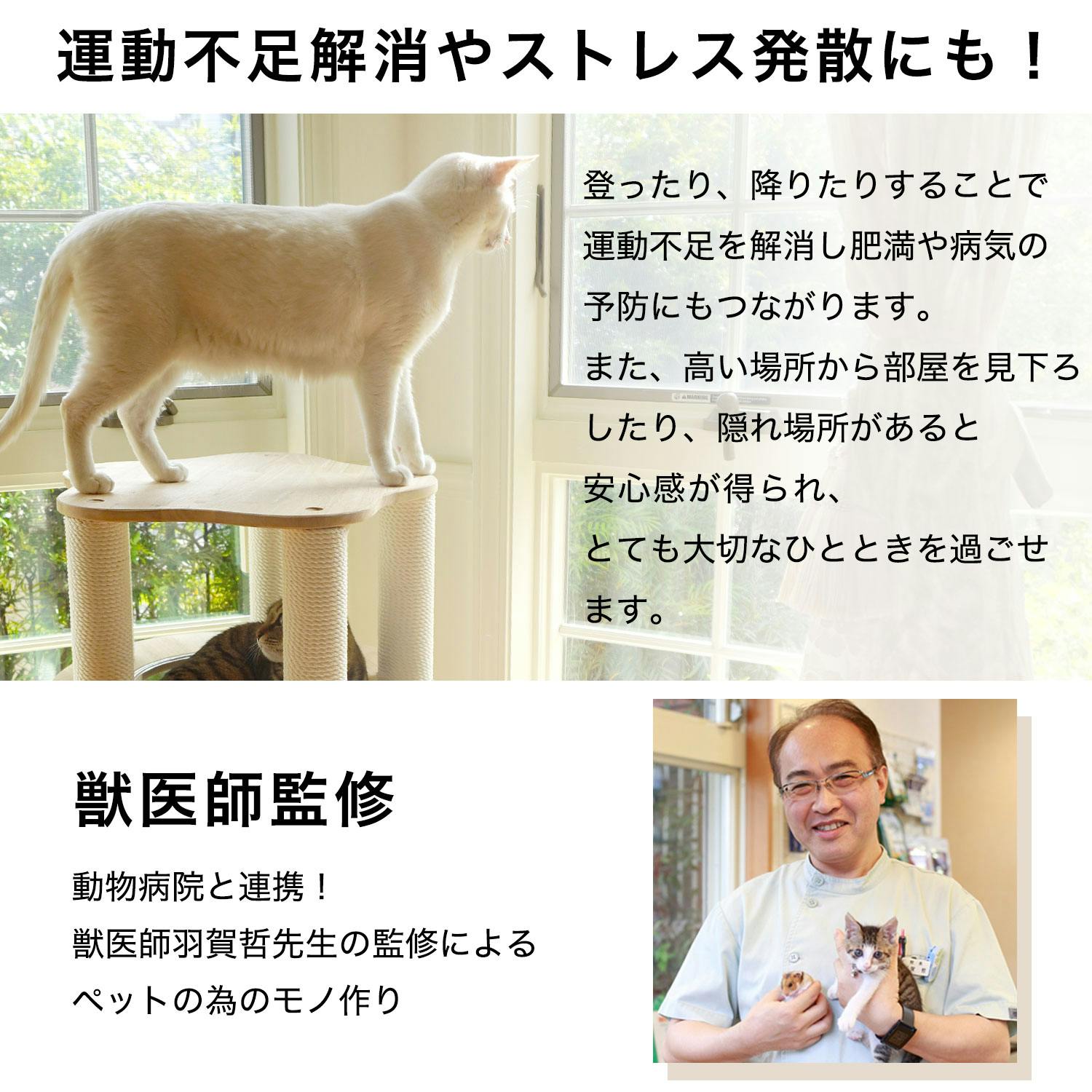 conemom専用 オーディオ機器電源平滑用電解コンデンサKGシリーズ/Super