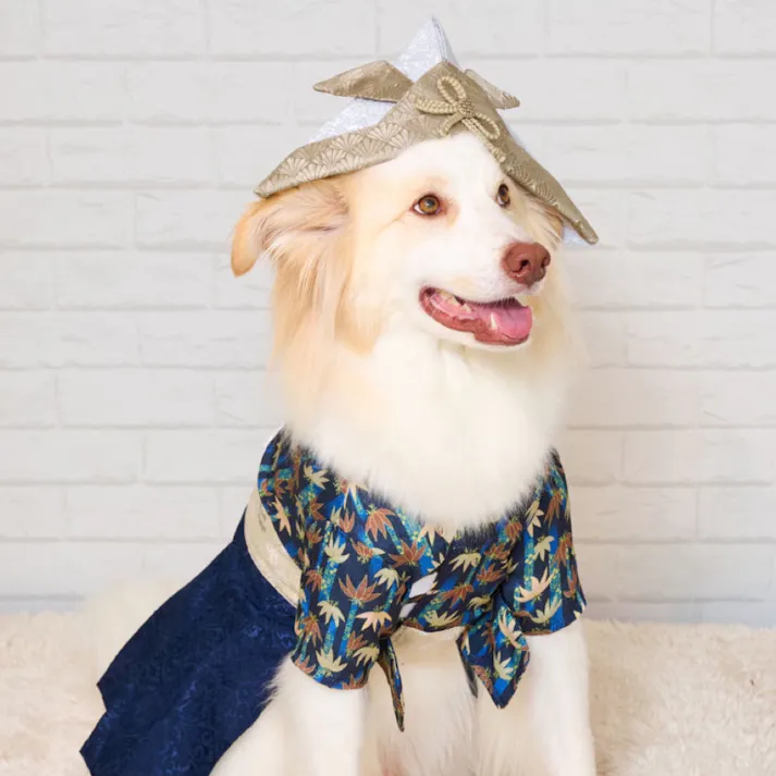 ONEKOSAMA OINUSAMA 大型ペット用兜 オールドブルー×ホワイト おしゃれ アクセサリー sg21006-ja-obl【別送品】