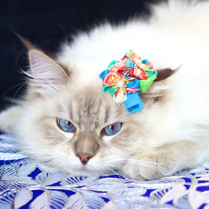 ONEKOSAMA OINUSAMA つまみ細工 ヘアアクセサリー クリップタイプ チャームピンク おしゃれ アクセサリー sg22040-cpk【別送品】