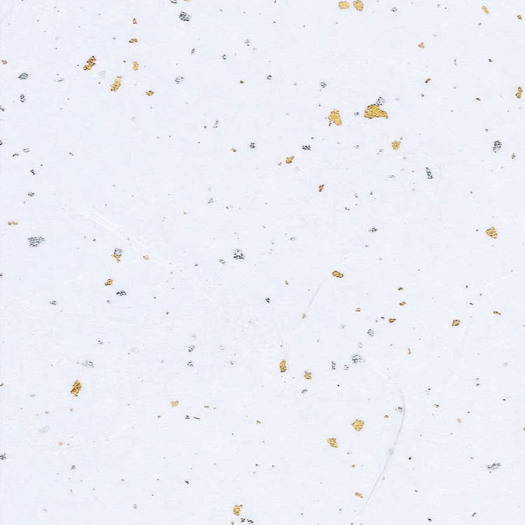 HEIKO シモジマ 和紙 雲龍紙金銀振 白 50枚×5 002107601(CDC)【別送品】