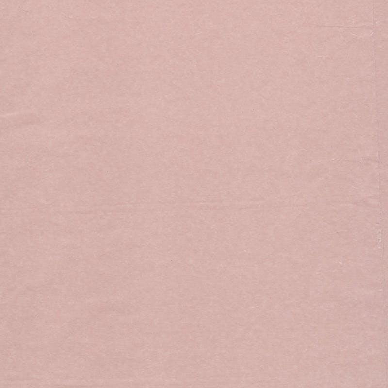 こもれび ページ こもれび夏のZine