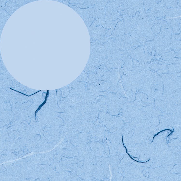 HEIKO シモジマ 包装紙 半才 ふうび 青 100枚入×10 002318300(CDC)【別送品】