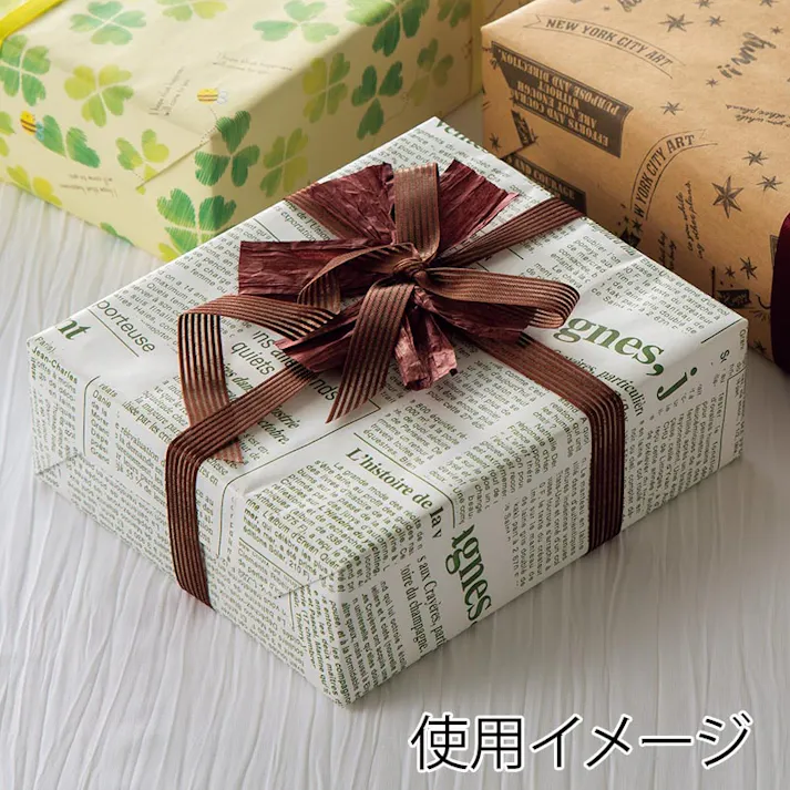 HEIKO シモジマ 包装紙 半才 特厚 ニュースレターGR 100枚入×10 002335510(CDC)【別送品】