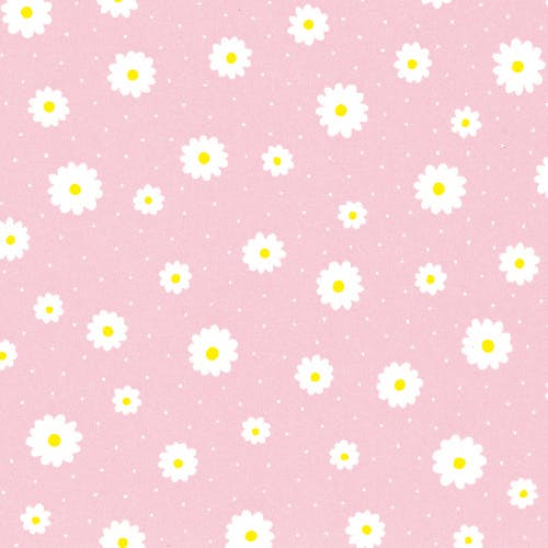 HEIKO シモジマ 包装紙 半才特厚 プリエール P 100枚入×10 002337200(CDC)【別送品】