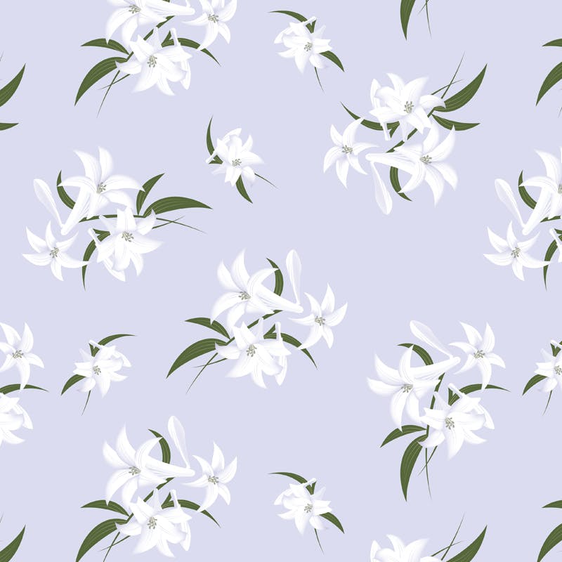 HEIKO シモジマ 包装紙 半才 ユリ 50枚×20 002338704(CDC)【別送品】