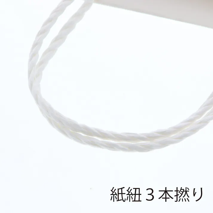 HEIKO シモジマ T型チャームバッグ W3 晒白無地 10枚×10 003160800(CDC)【別送品】