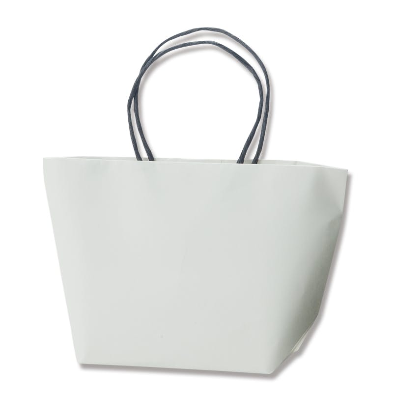 HEIKO シモジマ プチバッグF9-6 白無地 10枚×20 004087002(CDC)【別送品】