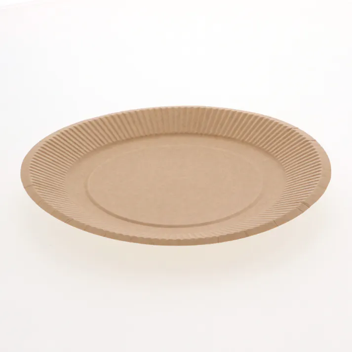HEIKO シモジマ クラフトペーパープレート 20cm 1袋×80 004501019(CDC)【別送品】