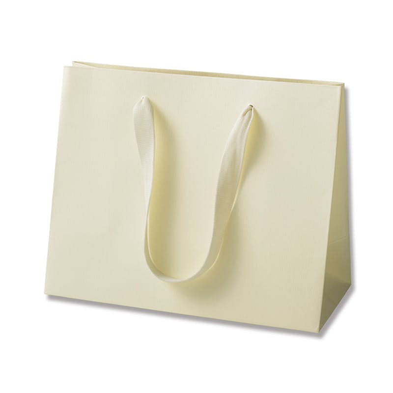 HEIKO シモジマ カラーハンドルバッグ LW クリーム 5枚×40 005390601(CDC)【別送品】