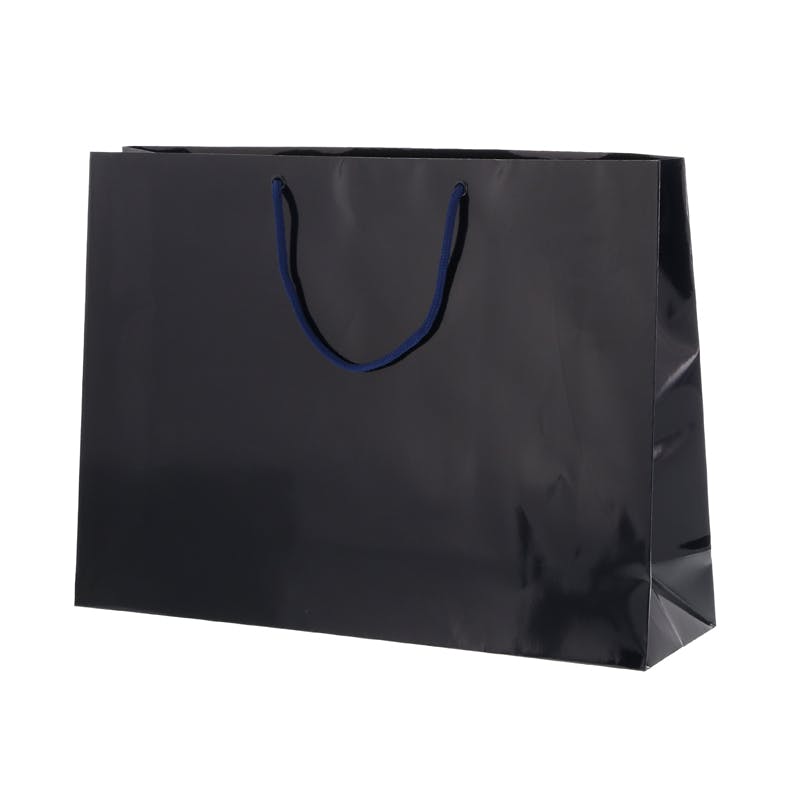 HEIKO シモジマ ブライトバッグ Y2 紫紺 10枚×5 006138103(CDC)【別送品】