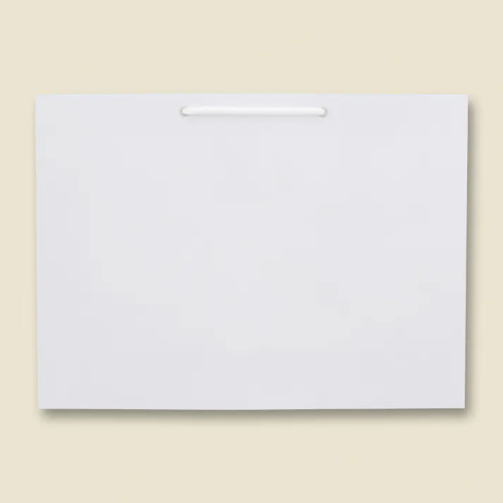 HEIKO シモジマ ブライトバッグ Y2 白 10枚×5 006138123(CDC)【別送品】