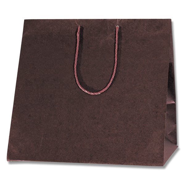 HEIKO シモジマ カラーアレンジバッグ L 焦茶 10枚×5 006441011(CDC)【別送品】