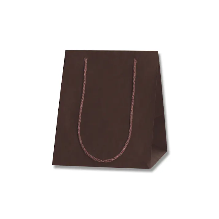 HEIKO シモジマ カラーアレンジバッグ 3S 焦茶 10枚×10 006441051(CDC)【別送品】
