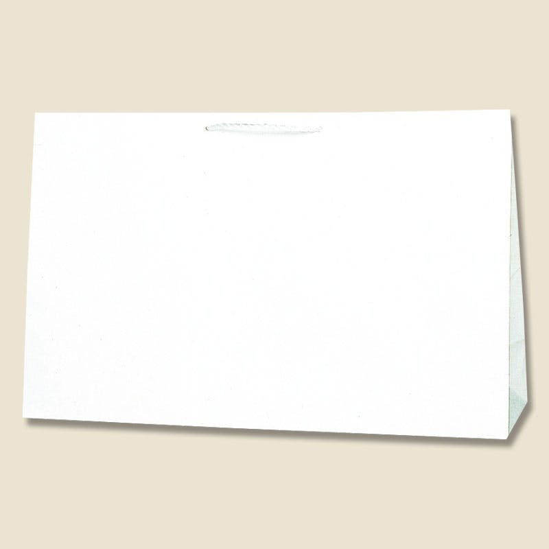 HEIKO シモジマ 広口チャームバッグ BR-1 10枚×5 006442301(CDC)【別送品】