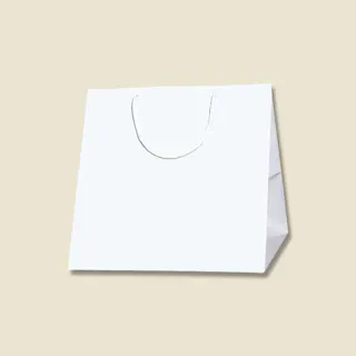 HEIKO シモジマ ブライトバッグ C0 白 10枚×5 006459400(CDC)【別送品】