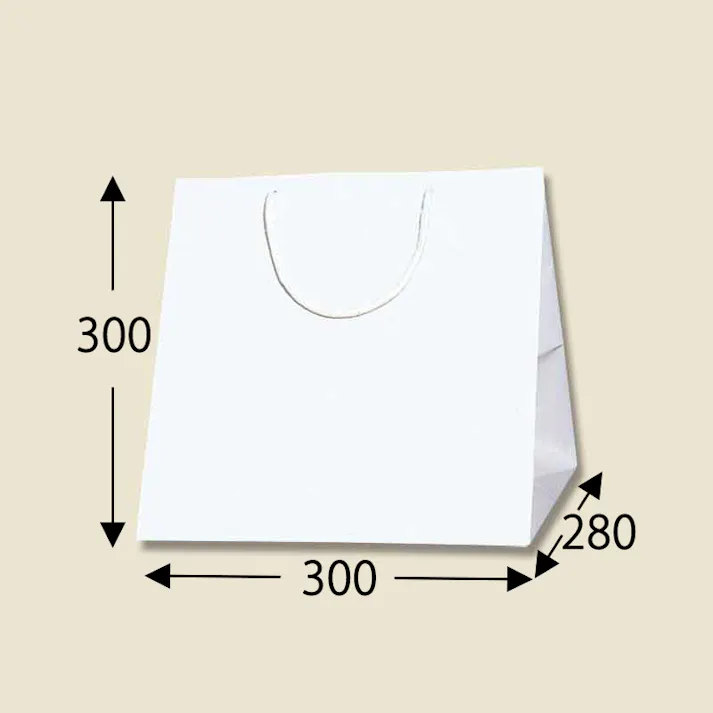 HEIKO シモジマ ブライトバッグ C0 白 10枚×5 006459400(CDC)【別送品】