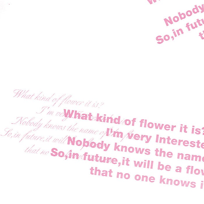 HEIKO シモジマ OPPロール グレース 65cm×20m PK 1本×20 006776072(CDC)【別送品】