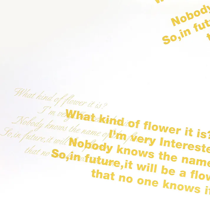 HEIKO シモジマ OPPロール グレース 65cm×20m YL 1本×20 006776074(CDC)【別送品】