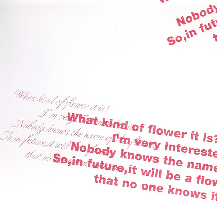 HEIKO シモジマ OPPロール グレース 65cm×20m RD 1本×20 006776077(CDC)【別送品】