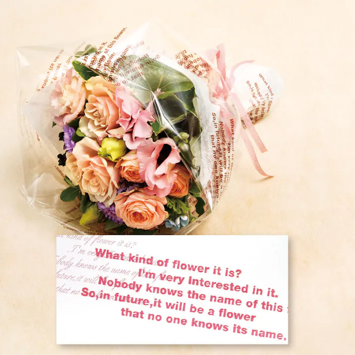 HEIKO シモジマ OPPロール グレース 65cm×20m RD 1本×20 006776077(CDC)【別送品】