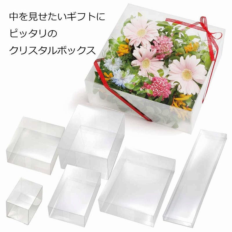 HEIKO シモジマ クリスタルBOX V-16B 10枚×10 006834000(CDC)【別送品