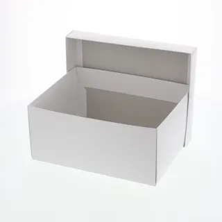 HEIKO シモジマ 白無地箱 B-1 エスプリ 10枚×10 006893500(CDC)【別送品】