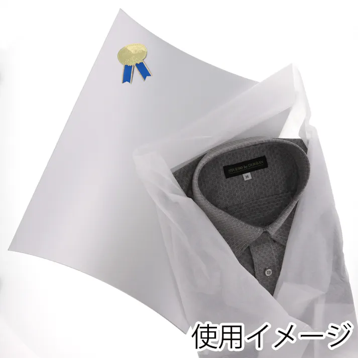 HEIKO シモジマ ギフトBOX AX-20 銀 10枚×10 006899932(CDC)【別送品】