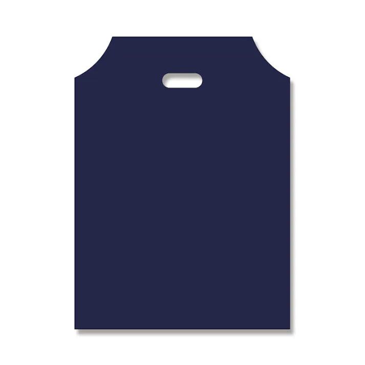 HEIKO シモジマ DXハンディバッグ S 無地シコン 表記入 ×10 006958402(CDC)【別送品】