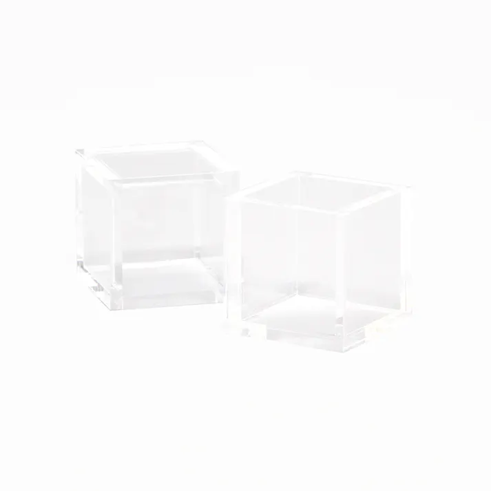 HEIKO シモジマ アクリルサイコロ 5面体 30角 1袋(2個入)×80 007307900(CDC)【別送品】