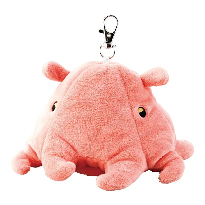 セトクラフト エコバッグ(メンダコ) F24-0464【別送品】