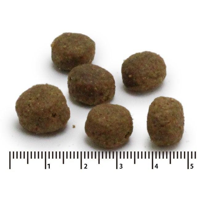 PRO-VET 犬用ストルバイト 尿石用500g 11091001【別送品