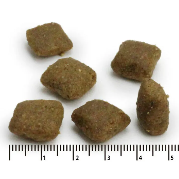 PRO-VET 犬用ヘパティック 肝臓500g 11091011【別送品】