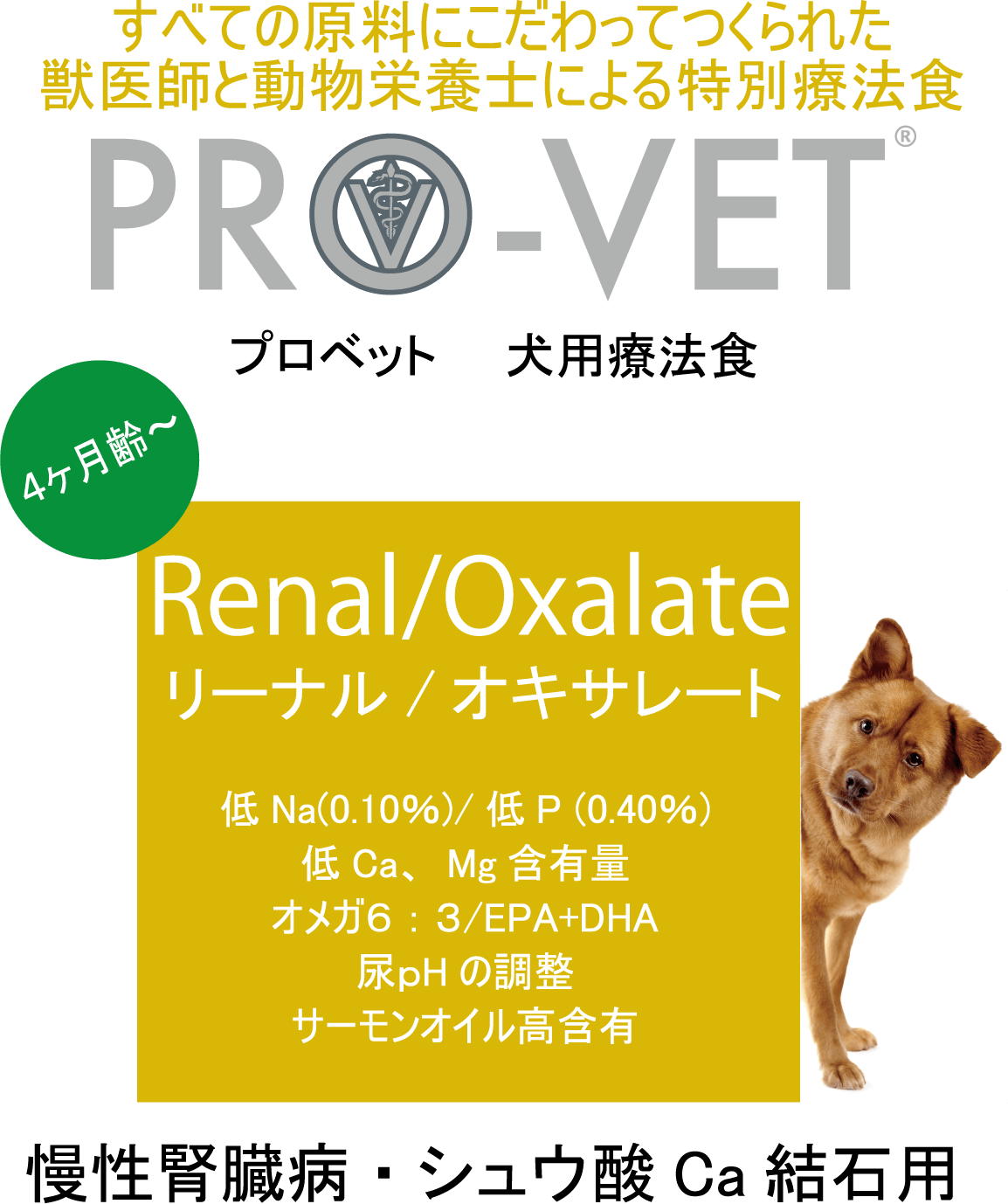 PRO-VET 犬用リーナルオキサレート 腎臓シュウ酸結石500g 11091021