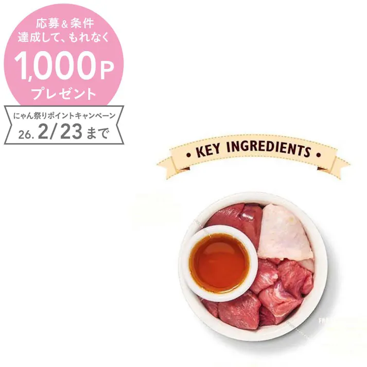 リリーズキッチン コヒツジのキャセロール・キャット85g C002【別送品】