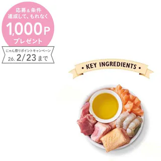 リリーズキッチン 本日のおすすめ・キャット85g C003【別送品】